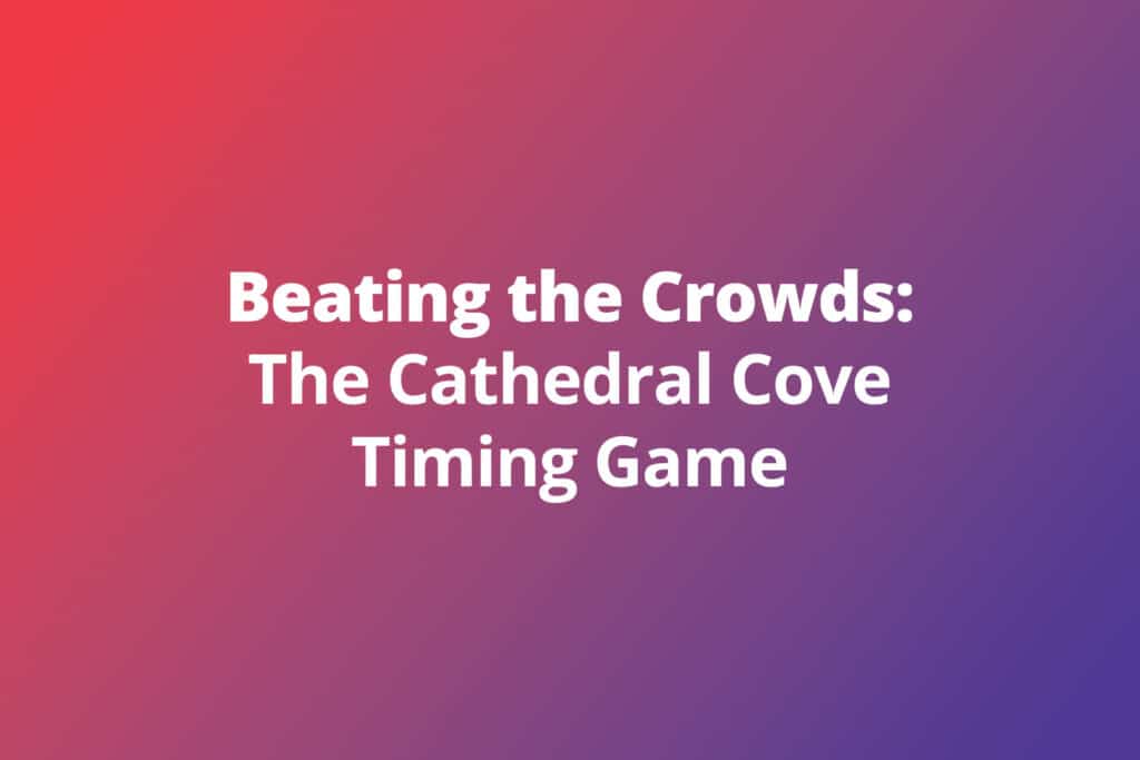 Beating the Crowds: The Cathedral Cove Timing Game